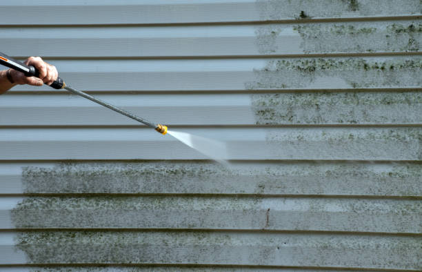 Best Roof Pressure Washing  in Nixa, MO