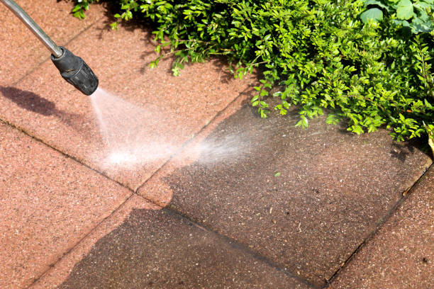 Best Deck Cleaning Services  in Nixa, MO